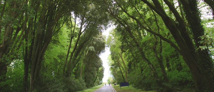 Avenue Entrance