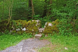 Moss Covered Wall