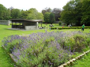 Coole Walled Garden Picnic Area