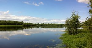 Turlough at Coole