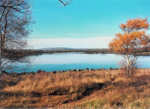 View of Turlough