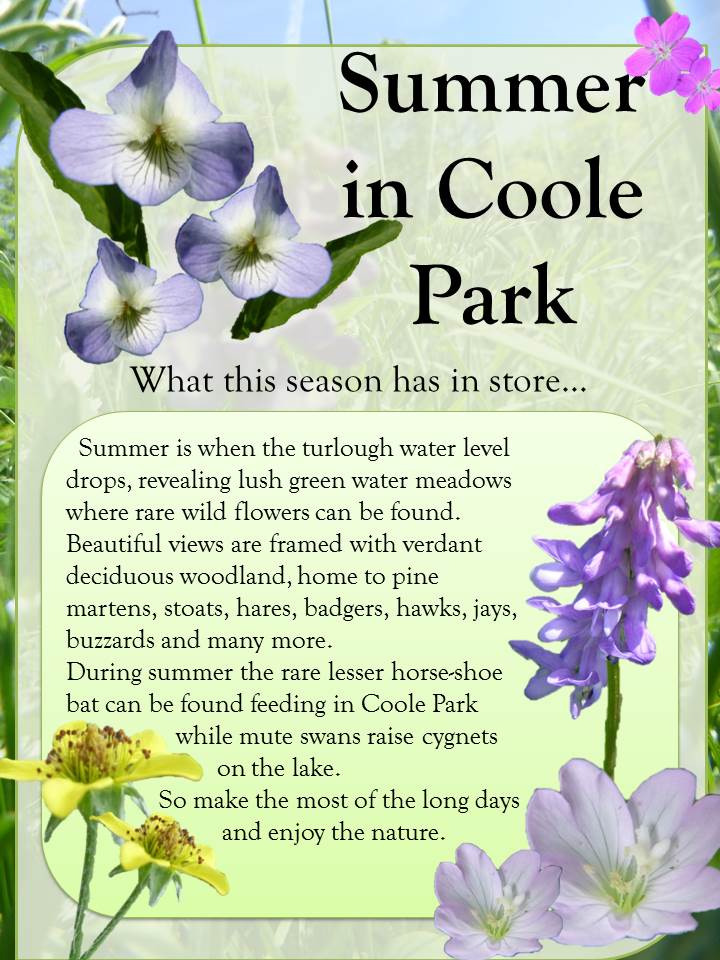 Coole Park Summer Promotional Poster