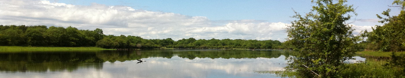 Coole Park Nature Reserve National Parks Wildlife Service