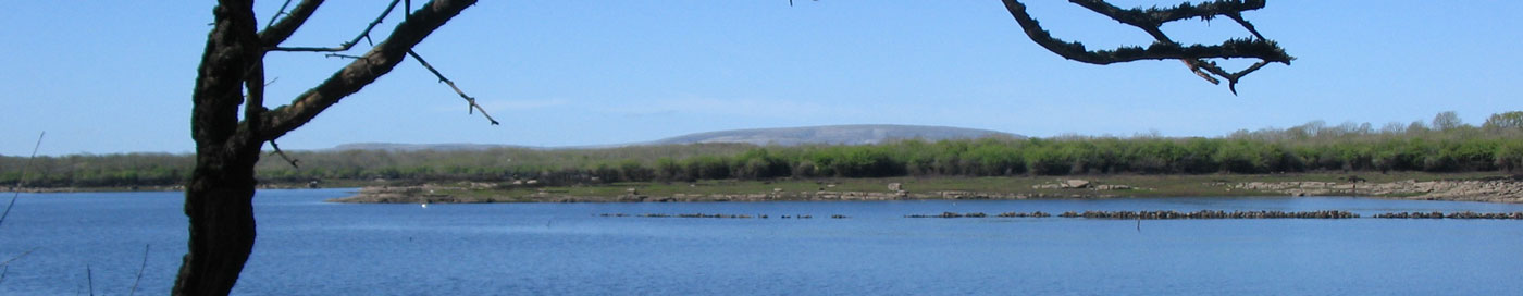 [wpml-string context="coole" name="title2"]Coole Park Nature Reserve[/wpml-string]