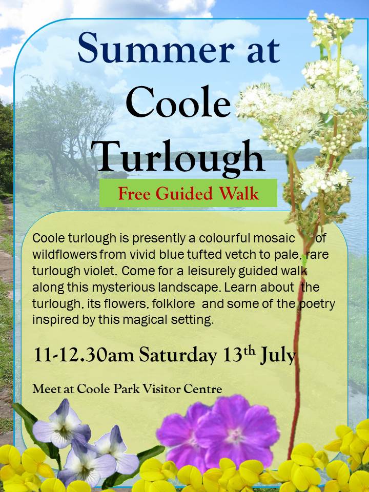 Summer at Turlough Guided Walk 2019