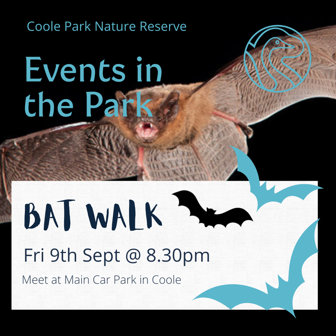 Bat Walk Events Poster