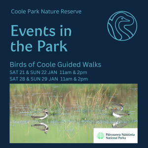 Birds Guided Walks: 21, 22, 28 and 29 January 2023