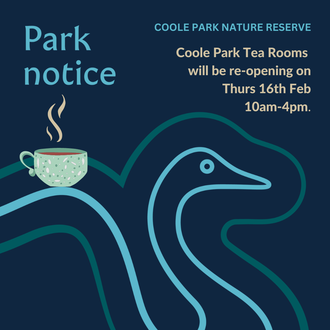 Coole Park Tea Rooms Reopening 16 February 2023