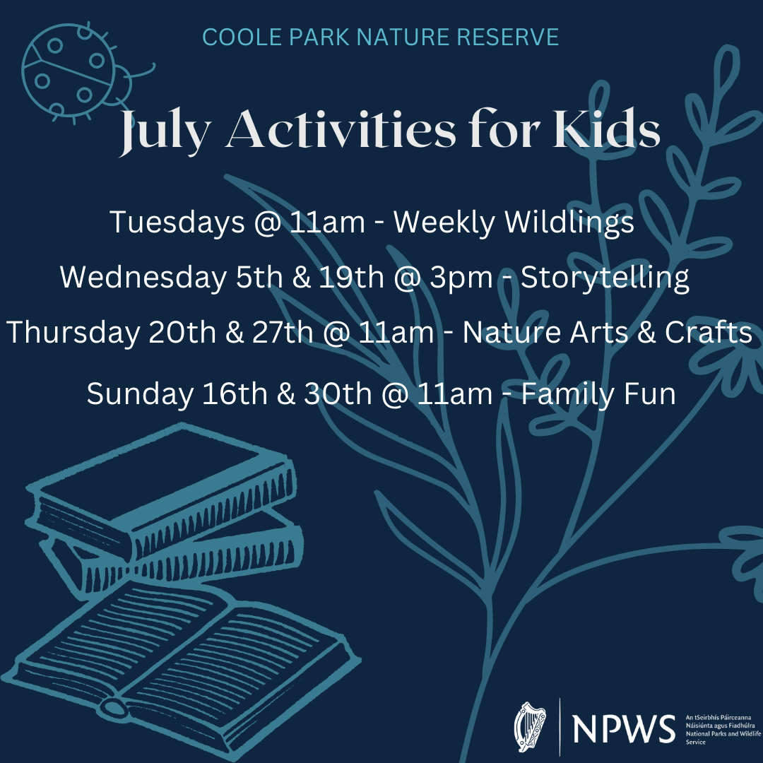 Activities for Kids - July 2023