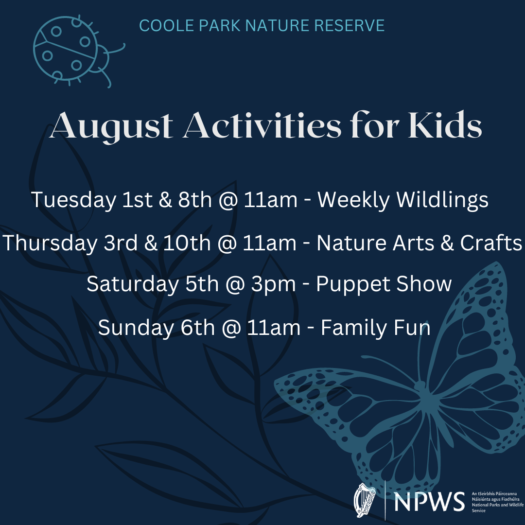 Activities for Kids - August 2023
