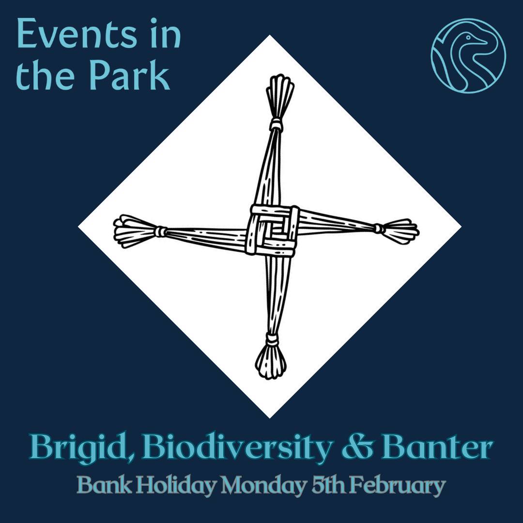 Events in the Park: Brigid, Biodiversity & Banter Monday 5th February