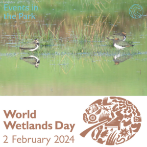 Events in the Park: World Wetlands Day 2nd Feb 2024