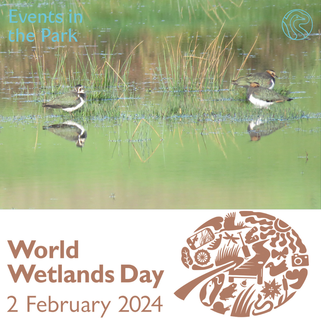 Events in the Park: World Wetlands Day 2nd Feb 2024