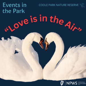 Events in the Park: Love is in the Air event