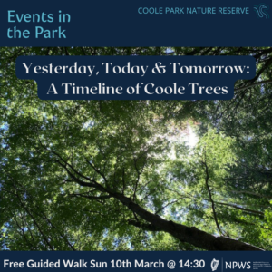 Events in the park: Yesterday today & tomorrow: A timeline of Coole trees. Guided walk notice